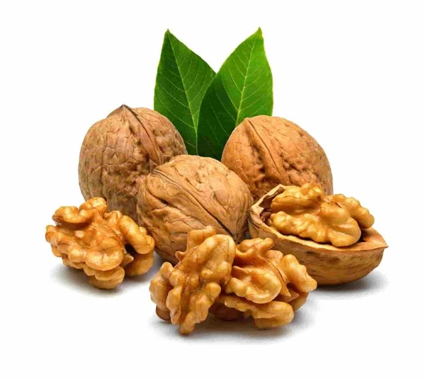 بیماری