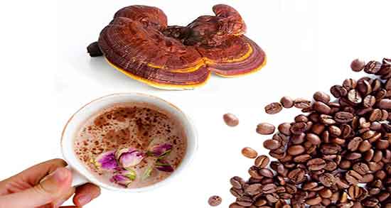 What is the nature of Ganoderma coffee?