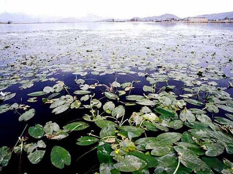 احیای ٣٠ درصدی سراب نیلوفر کرمانشاه 