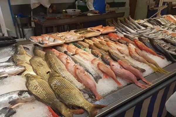 کشف ۱۰۰ قطعه ماهی از متخلفین صید غیرمجاز ماهی در سرپل ذهاب - خبرگزاری مهر | اخبار ایران و جهان
